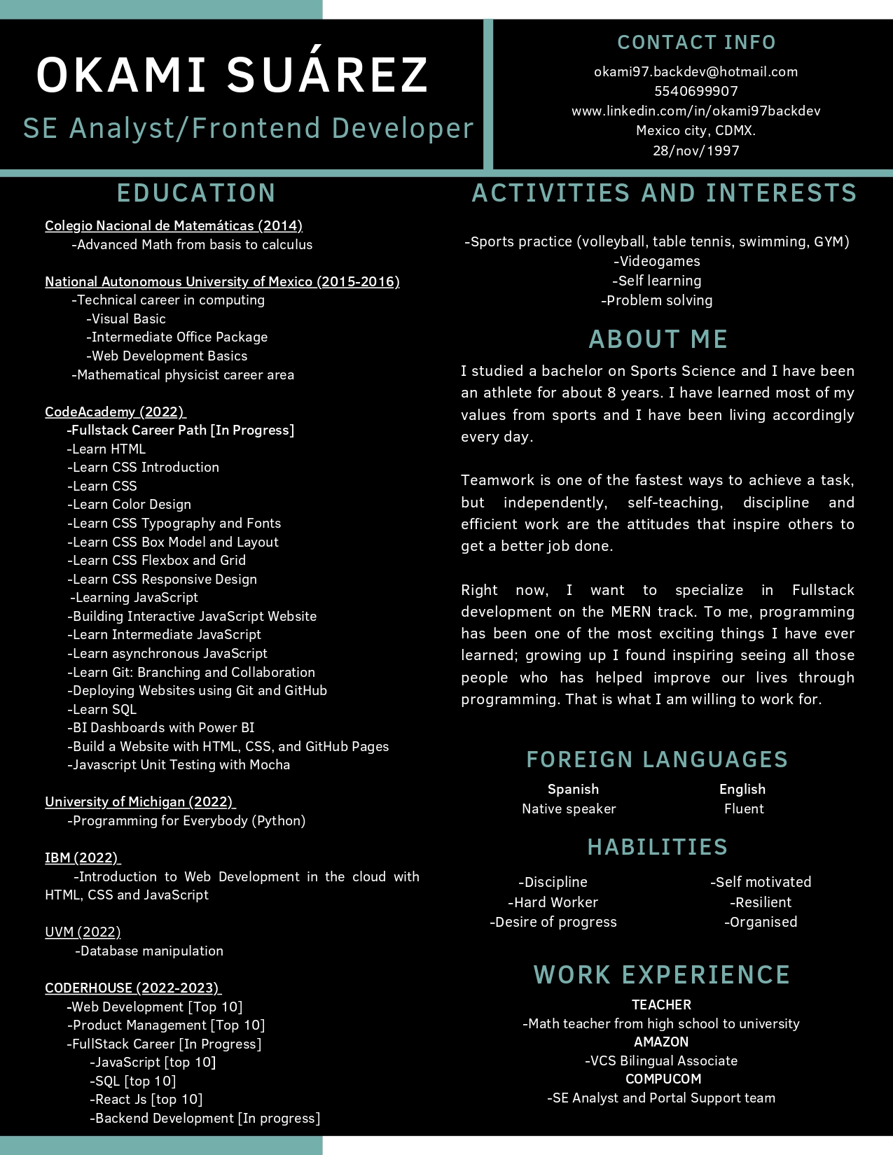 Image of Okami Resume